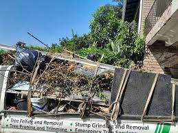 Best Hoarding Cleanup  in Bells, TN