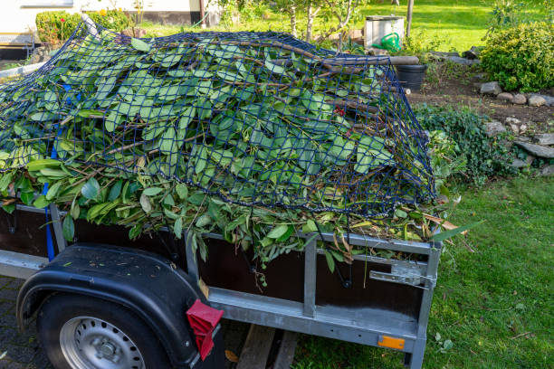 Best Shed Removal  in Bells, TN